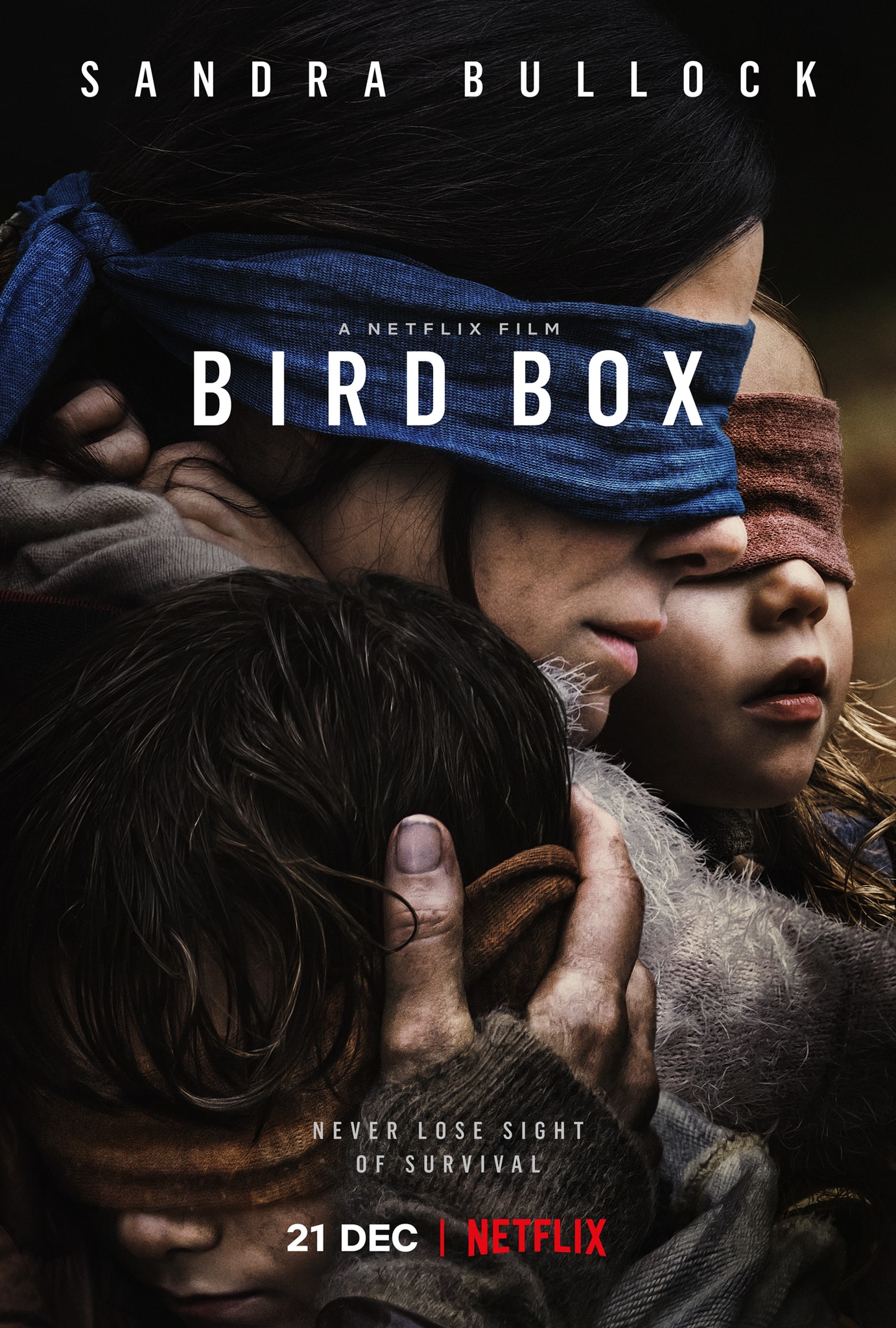 جعبه پرنده (Bird Box)
