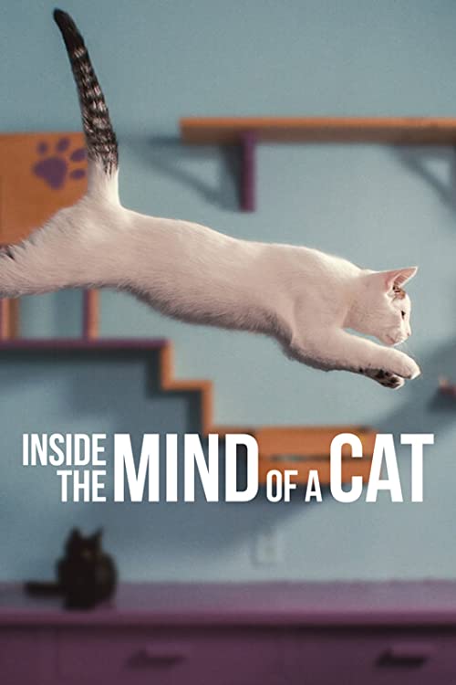 درون ذهن یک گربه (Inside the Mind of a Cat)