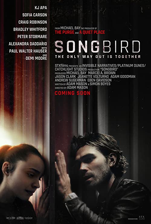 آواز پرنده (Songbird)