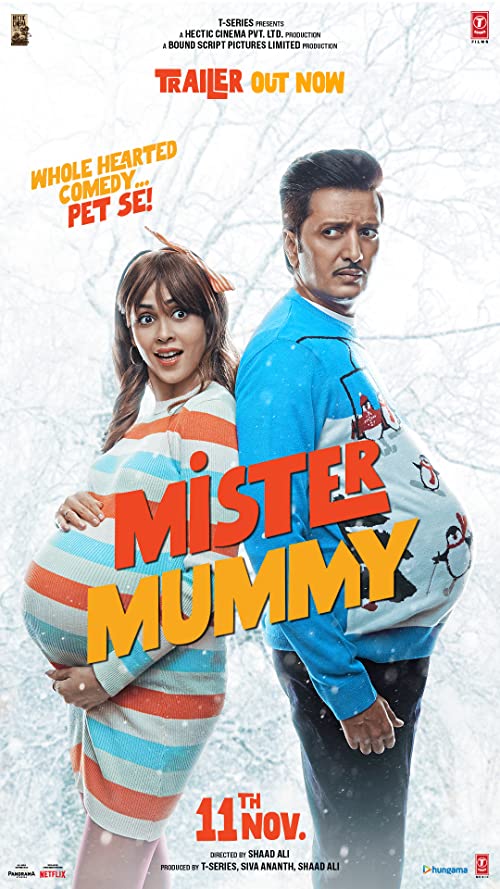 آقای مامانی (Mister Mummy)