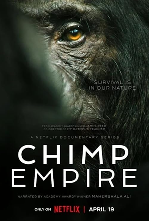 امپراتوری شامپانزه (Chimp Empire)