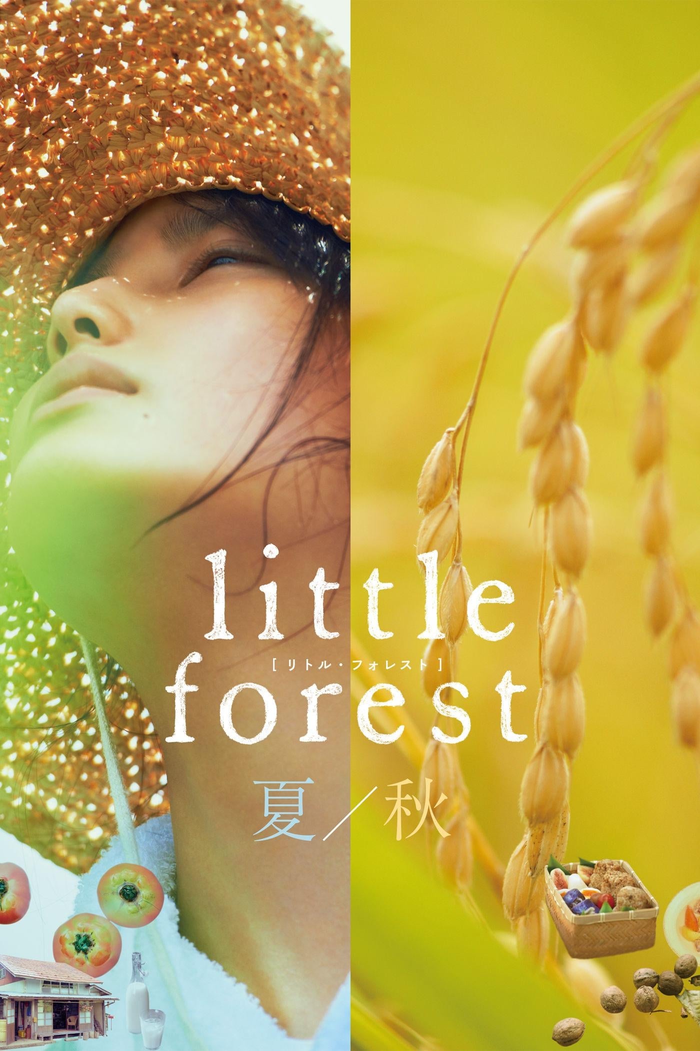 جنگل کوچک تابستان پاییز (Little Forest: Summer/Autumn)