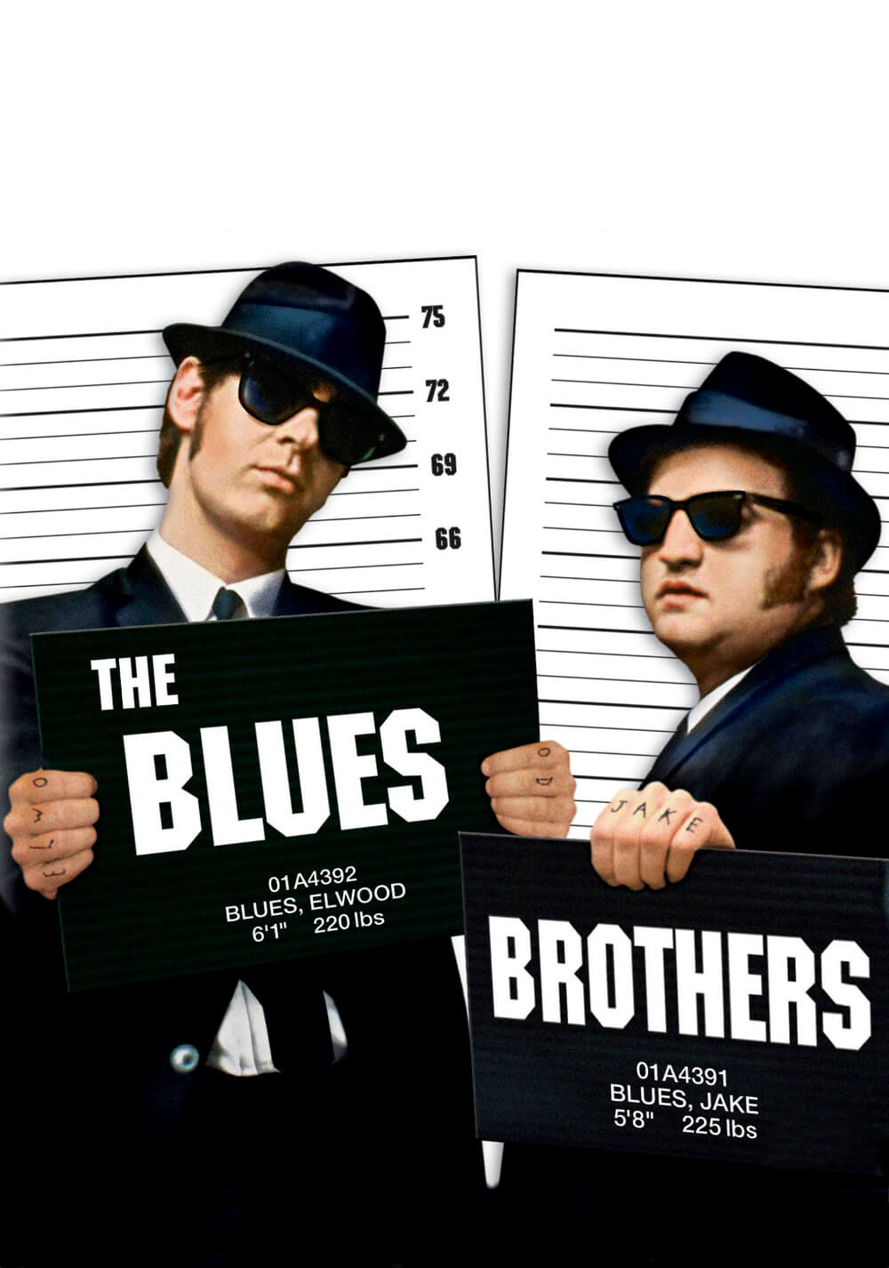 برادران بلوز (The Blues Brothers)