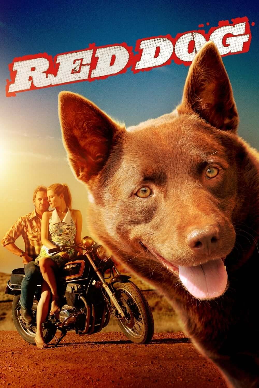 سگ قرمز (Red Dog)