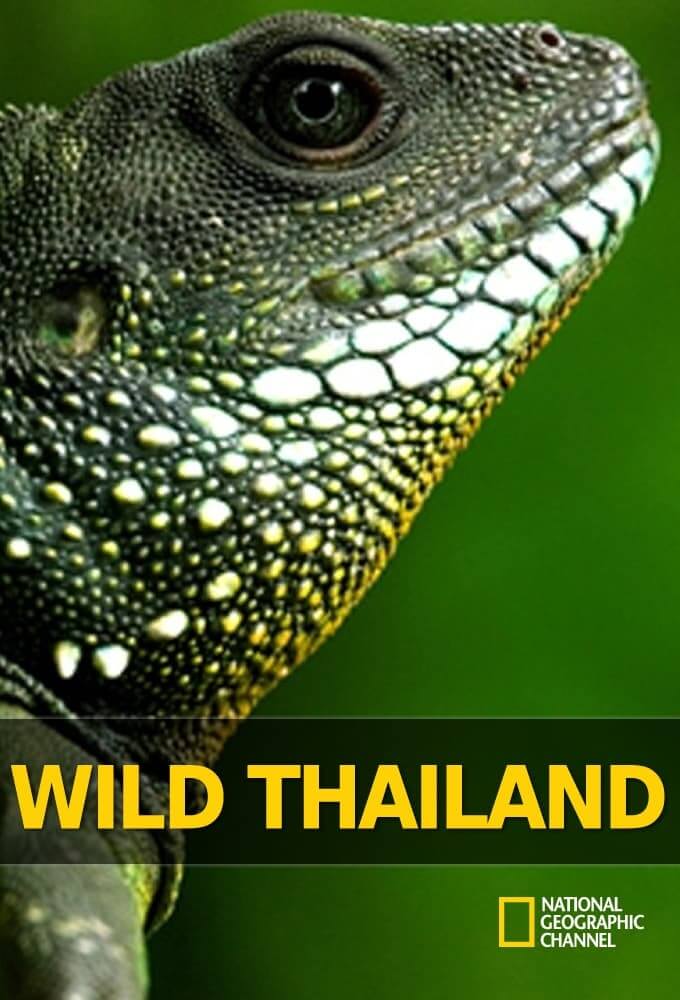 حیات وحش تایلند (Wild Thailand)