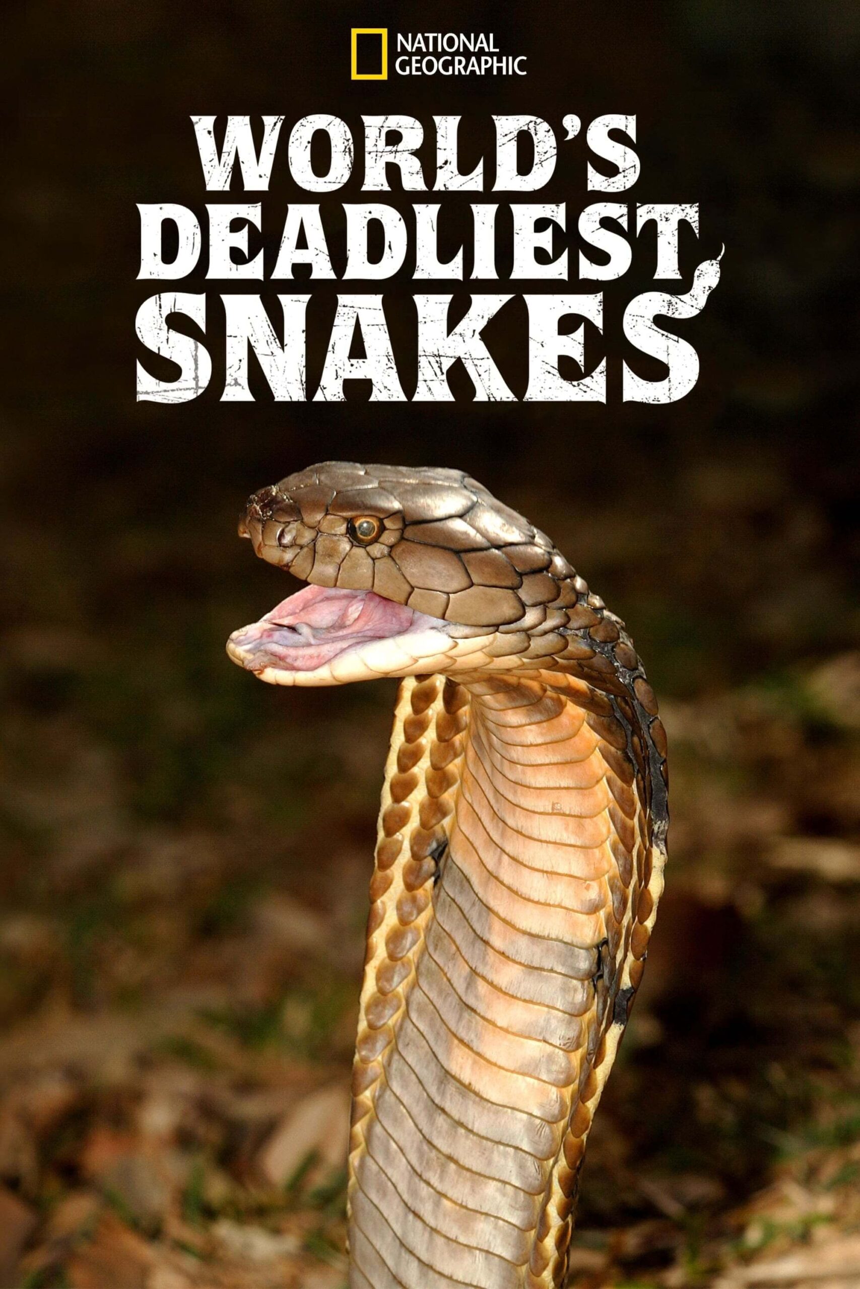 مرگبارترین مارهای جهان (World’s Deadliest Snakes)
