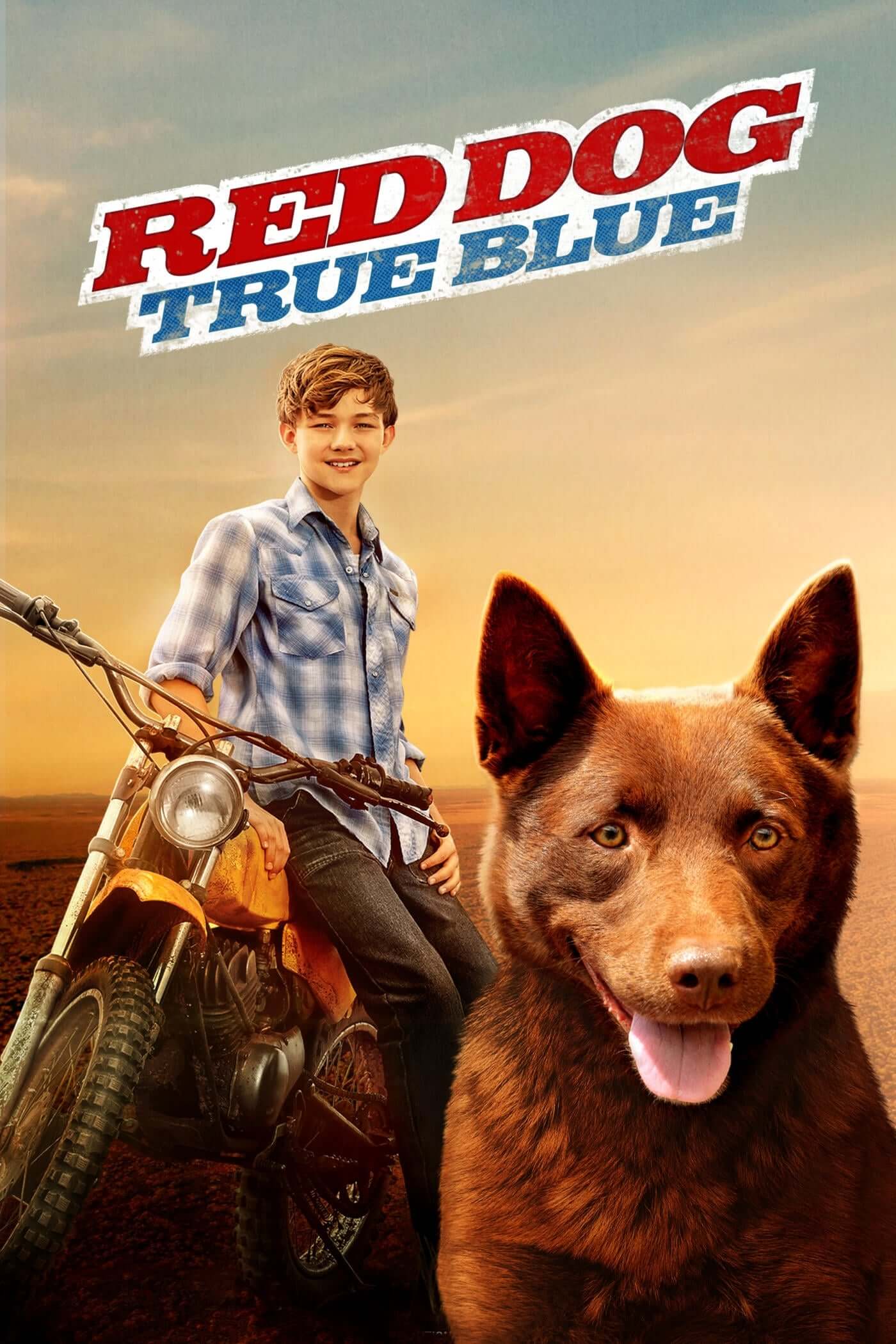 سگ قرمز : ابی واقعی (Red Dog: True Blue)