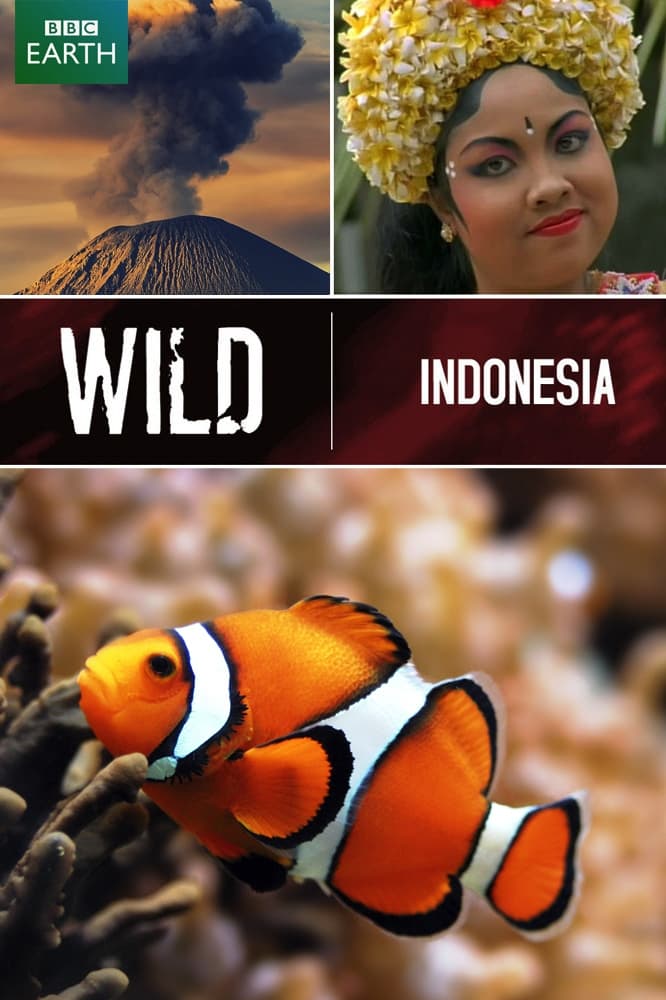 حیات وحش اندونزی (Wild Indonesia)