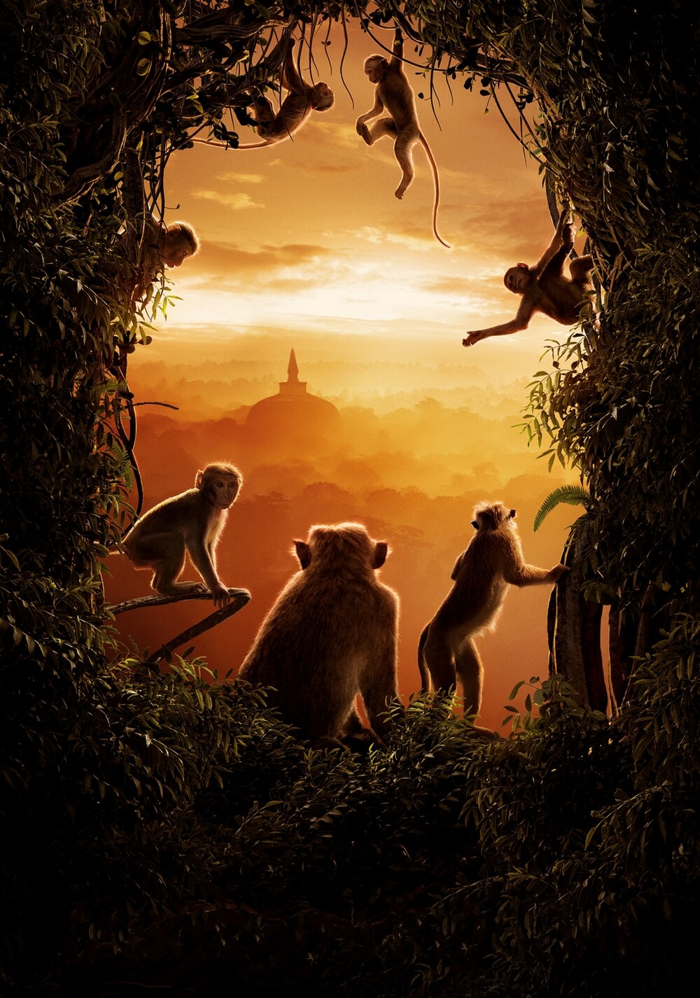پادشاهی میمون ها (Monkey Kingdom)