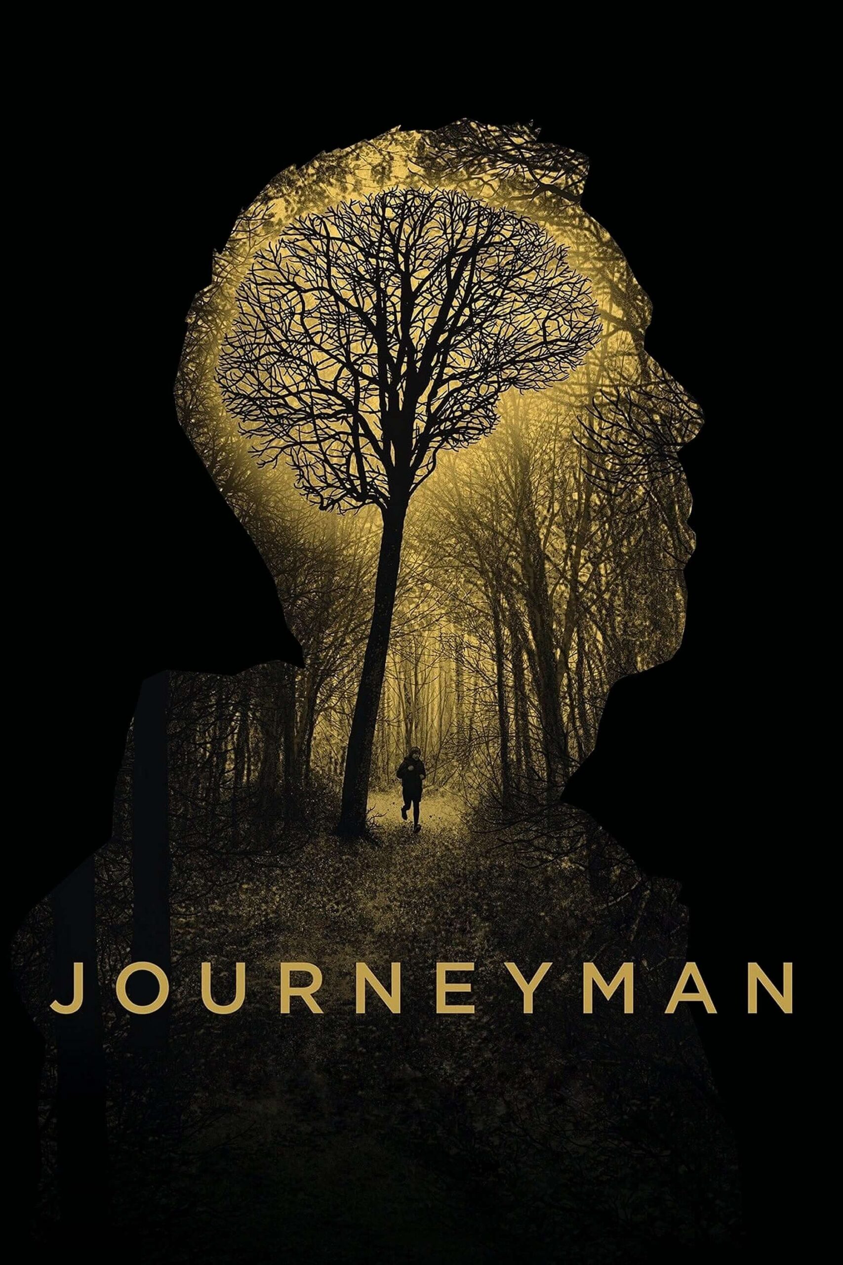 مرد مسافر (Journeyman)