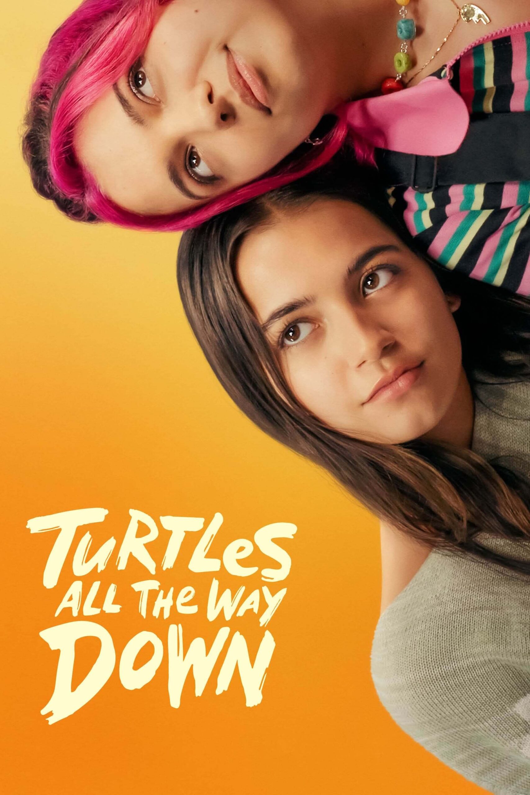 لاک‌پشت‌های بی‌پایان (Turtles All the Way Down)